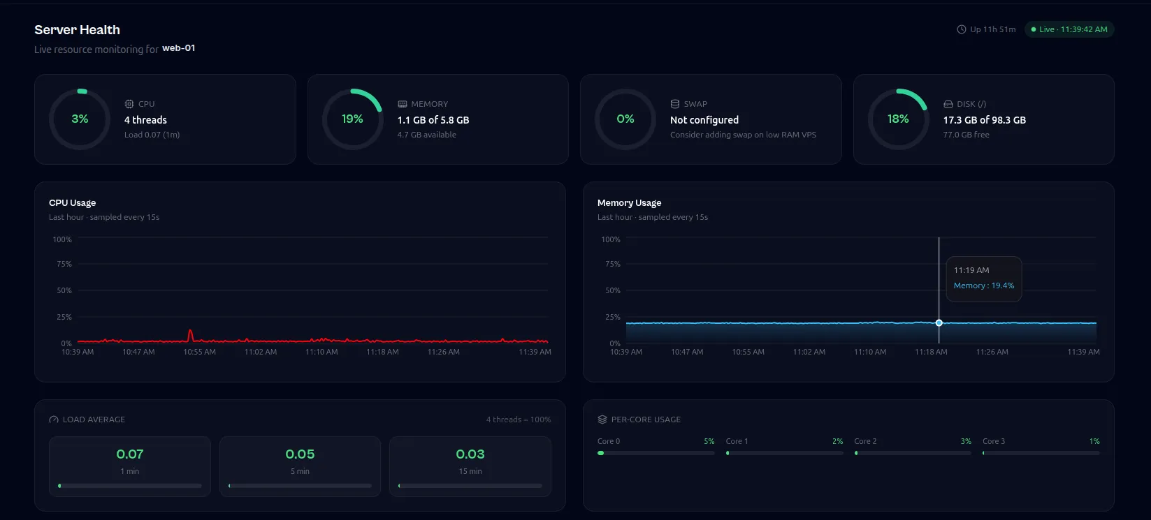 Server health screen showing CPU, memory, swap and disk usage with per-core load and hourly usage charts